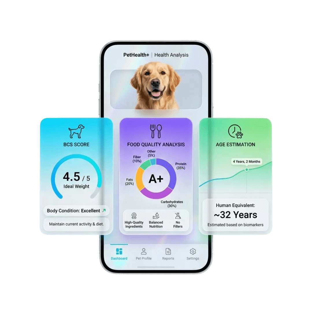 Vista previa de la interfaz de la app PawAi