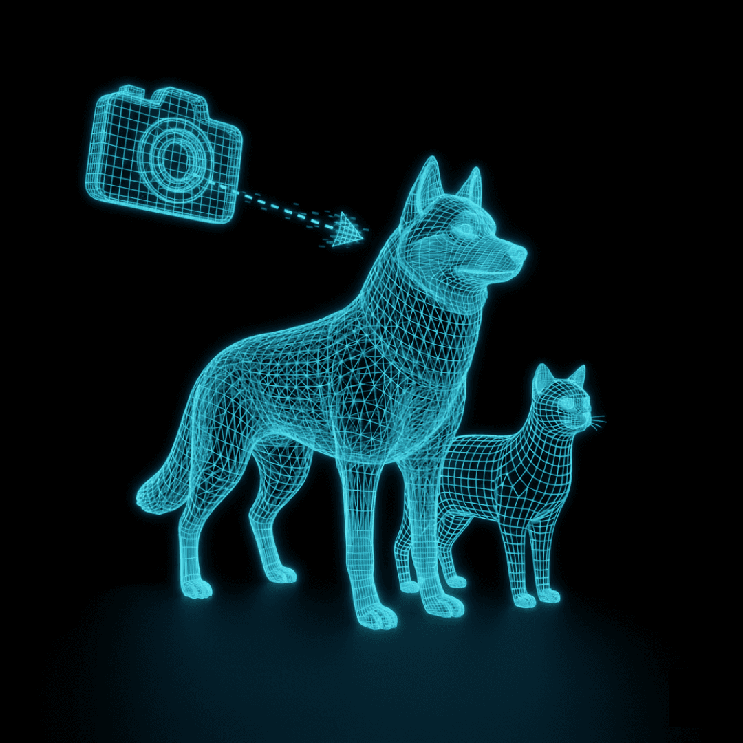 Paso 1: Saca dos fotos a tu mascota